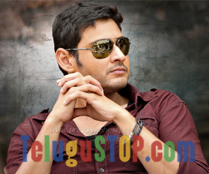 Mahesh Babu Bumper offer to Newly Talented People Photo,Image,Pics-Brahmotsavam Movie - Brahmotsavam-Movie-Director-Srikanth-Addala-Mahesh-Encourage-New-People-Pvp-Banner-15-to-50-Years