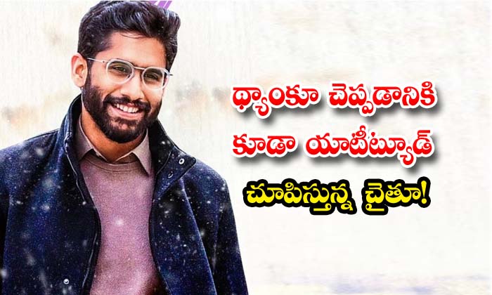 థకయ చపపడనక కడ యటటయడ చపసతనన చత Naga Chaitanya