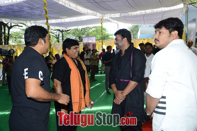 Aatagallu movie opening- Photos,Spicy Hot Pics,Images,High Resolution WallPapers Download