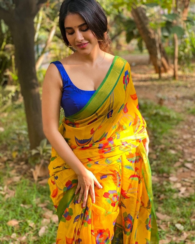 Actress nabha natesh ugadhi special saree images-Actressnabha, Nabha Natesh, Nabhanatesh Photos,Spicy Hot Pics,Images,High Resolution WallPapers Download