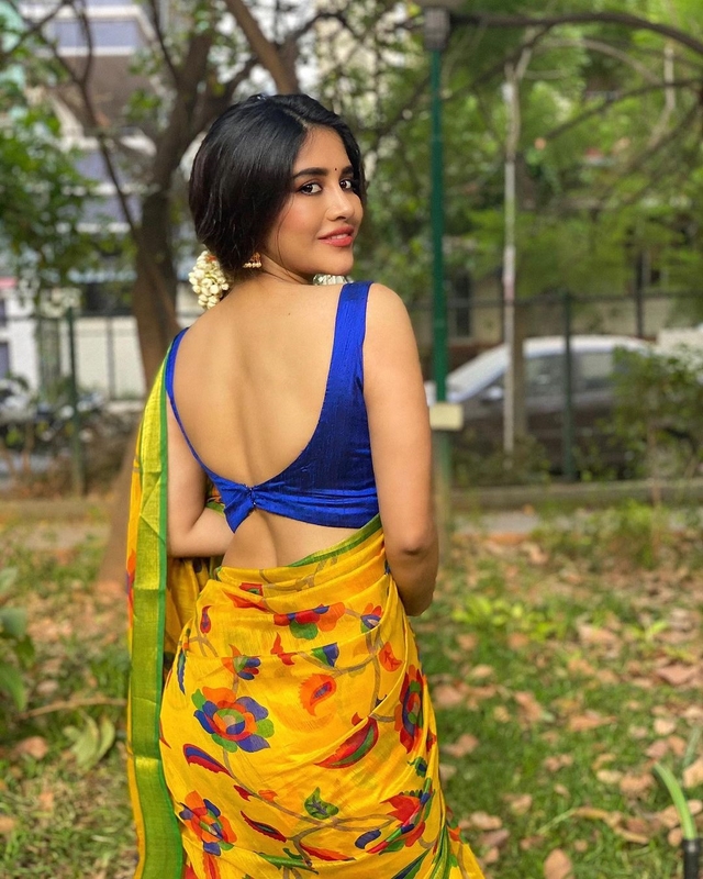 Actress nabha natesh ugadhi special saree images-Actressnabha, Nabha Natesh, Nabhanatesh Photos,Spicy Hot Pics,Images,High Resolution WallPapers Download