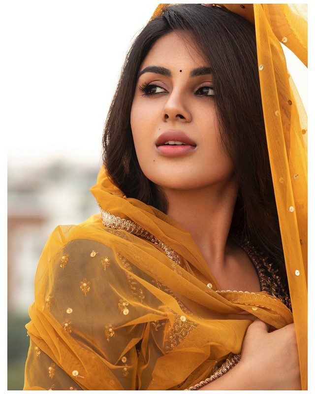 Actress samyuktha menon captivating clicks are winning the internet-Samyuktha Menon Photos,Spicy Hot Pics,Images,High Resolution WallPapers Download