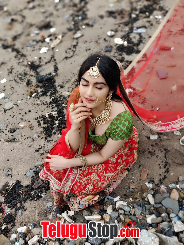 Adah sharma new photos 8- Photos,Spicy Hot Pics,Images,High Resolution WallPapers Download