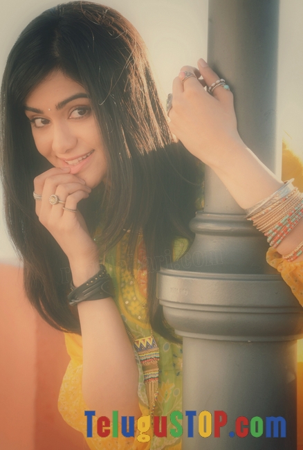 Adah sharma new pics 3- Photos,Spicy Hot Pics,Images,High Resolution WallPapers Download