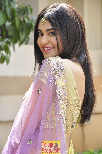 Adah sharma new pohtos- Photos,Spicy Hot Pics,Images,High Resolution WallPapers Download