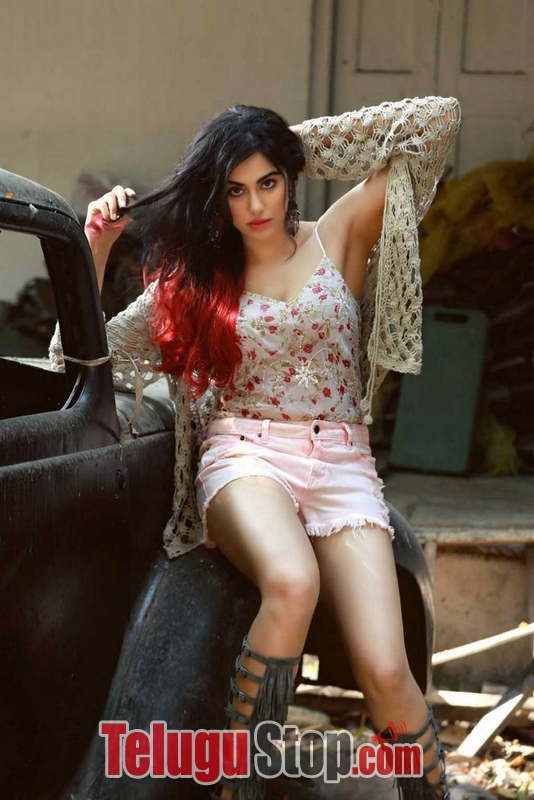 Adah sharma stills 4- Photos,Spicy Hot Pics,Images,High Resolution WallPapers Download