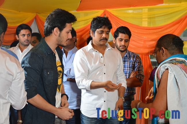 Akhil and vinayak movie opening- Photos,Spicy Hot Pics,Images,High Resolution WallPapers Download