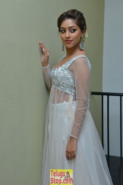 Anu emmanuel new stills 2- Photos,Spicy Hot Pics,Images,High Resolution WallPapers Download