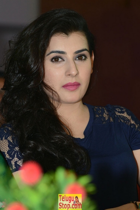 Archana new gallery 3- Photos,Spicy Hot Pics,Images,High Resolution WallPapers Download