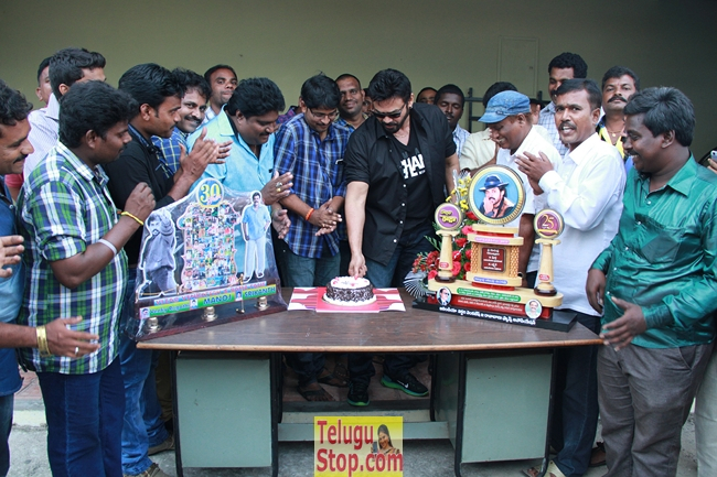Bobbili raja 25 years fans celebrations- Photos,Spicy Hot Pics,Images,High Resolution WallPapers Download