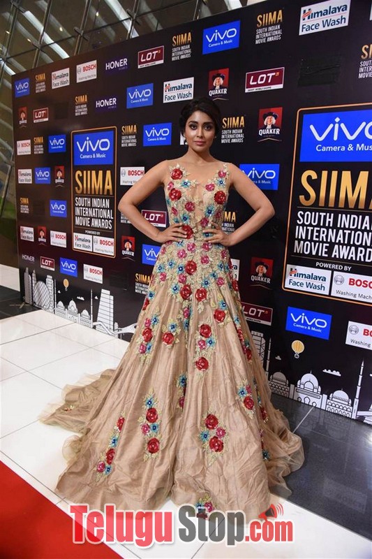Celebs at siima awards 2017 day1- Photos,Spicy Hot Pics,Images,High Resolution WallPapers Download