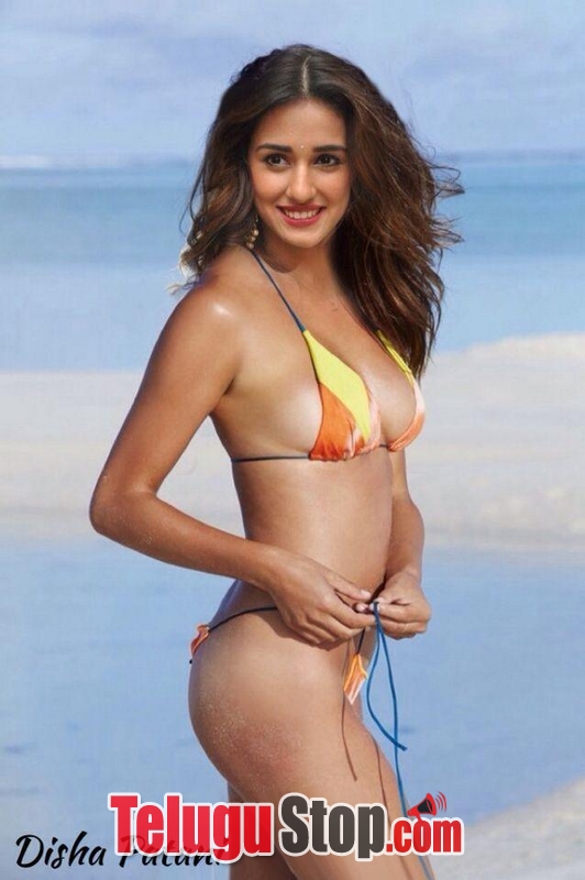 Disha patani spicy pics- Photos,Spicy Hot Pics,Images,High Resolution WallPapers Download