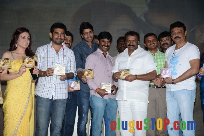 Dr saleem audio launch- Photos,Spicy Hot Pics,Images,High Resolution WallPapers Download