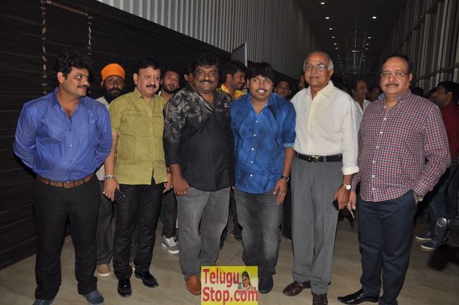 Dwaraka movie audio launch- Photos,Spicy Hot Pics,Images,High Resolution WallPapers Download