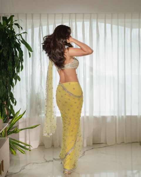 Exuberant beauty in saree actress disha patani massacre-Actress, Actressdisha, Disha Patani, Dishapatani Photos,Spicy Hot Pics,Images,High Resolution WallPapers Download