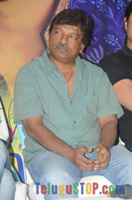 Govindhudu andarivadele successmeet- Photos,Spicy Hot Pics,Images,High Resolution WallPapers Download