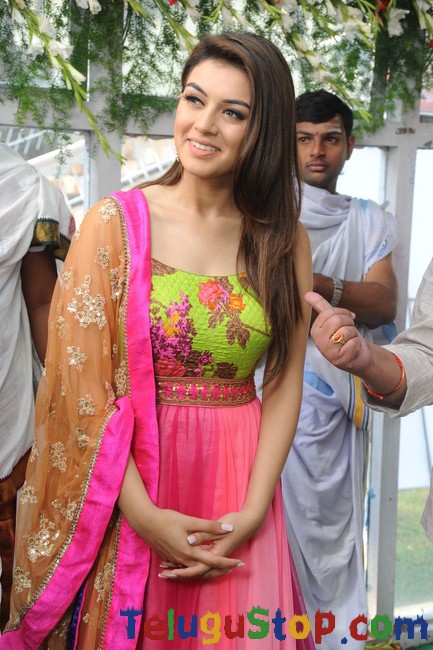 Hansika latest gallery- Photos,Spicy Hot Pics,Images,High Resolution WallPapers Download