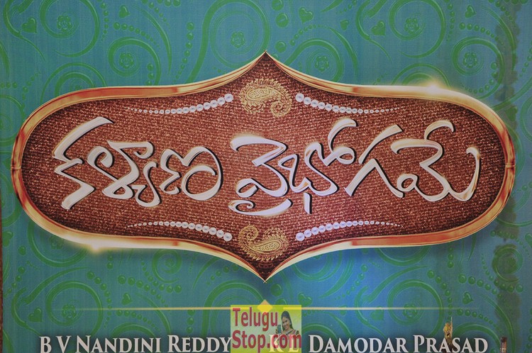 Kalyana vaibhogame movie audio launch- Photos,Spicy Hot Pics,Images,High Resolution WallPapers Download