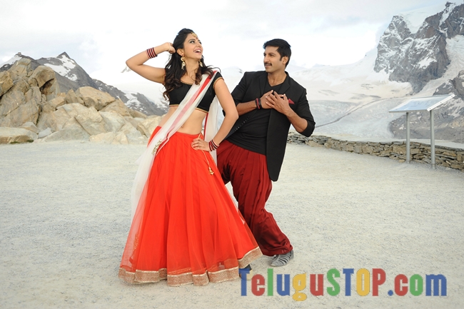 Loukyam movie stills- Photos,Spicy Hot Pics,Images,High Resolution WallPapers Download