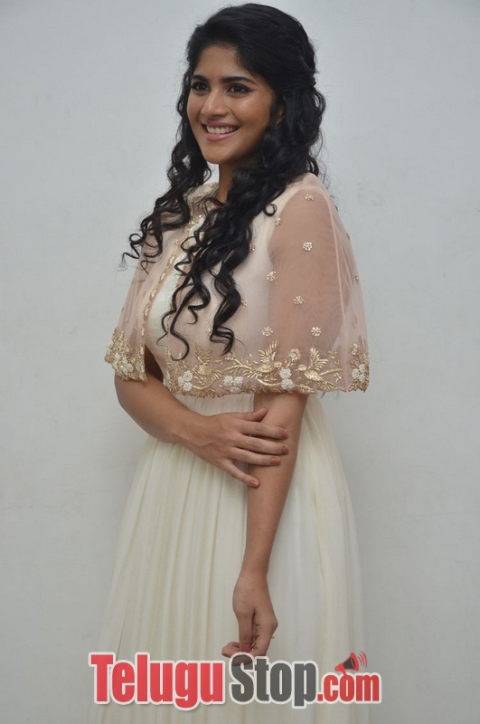 Megha akash new stills- Photos,Spicy Hot Pics,Images,High Resolution WallPapers Download