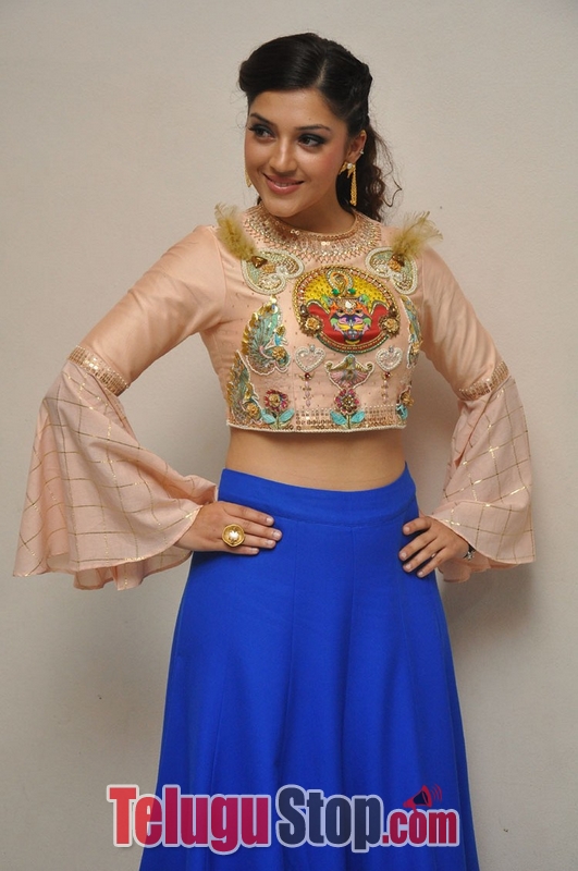 Mehreen kaur pirzada stills- Photos,Spicy Hot Pics,Images,High Resolution WallPapers Download