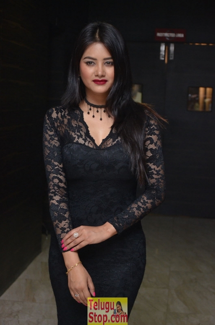 Monika singh latest pics- Photos,Spicy Hot Pics,Images,High Resolution WallPapers Download