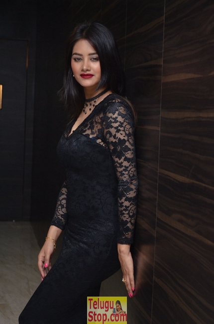 Monika singh latest pics- Photos,Spicy Hot Pics,Images,High Resolution WallPapers Download