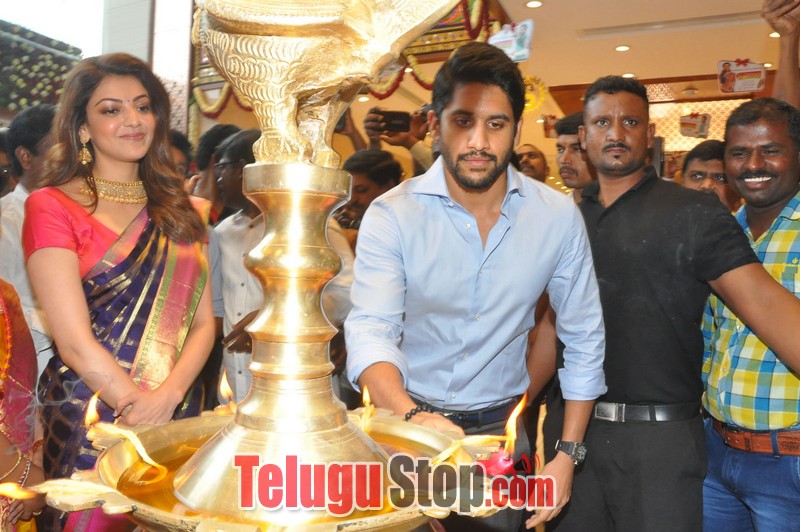 Naga chaitanya and kajal launches the chennai shopping mall- Photos,Spicy Hot Pics,Images,High Resolution WallPapers Download