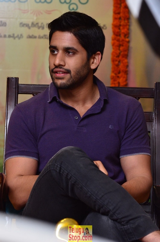 Naga chaitanya interview stills 2- Photos,Spicy Hot Pics,Images,High Resolution WallPapers Download