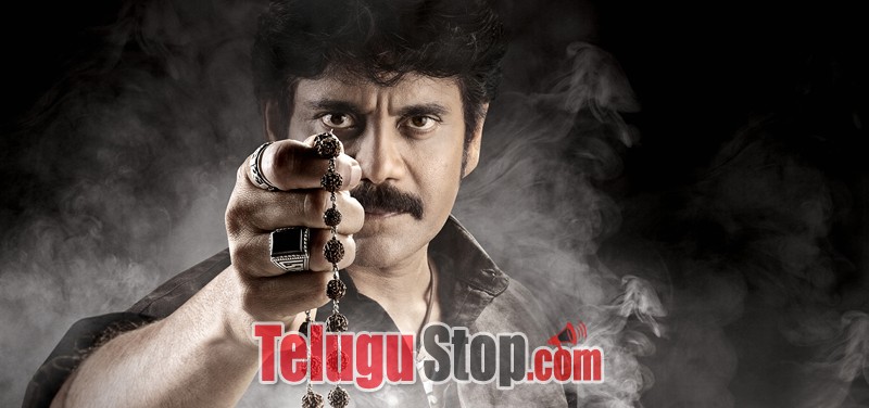 Nagarjuna in raju gari gadhi2- Photos,Spicy Hot Pics,Images,High Resolution WallPapers Download