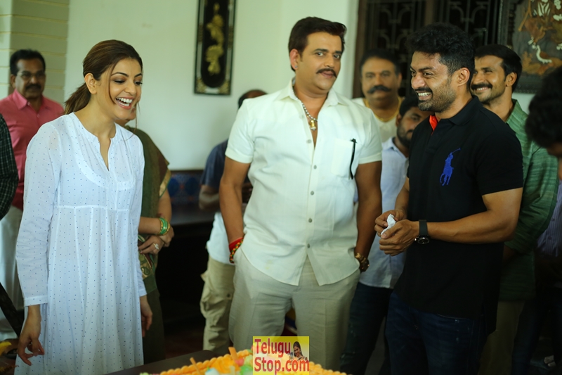 Nandamuri kalyanram birthday celebrations- Photos,Spicy Hot Pics,Images,High Resolution WallPapers Download