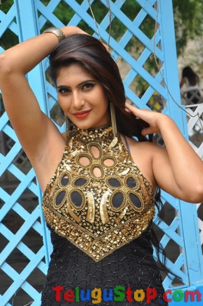 Neha saxena new stills- Photos,Spicy Hot Pics,Images,High Resolution WallPapers Download