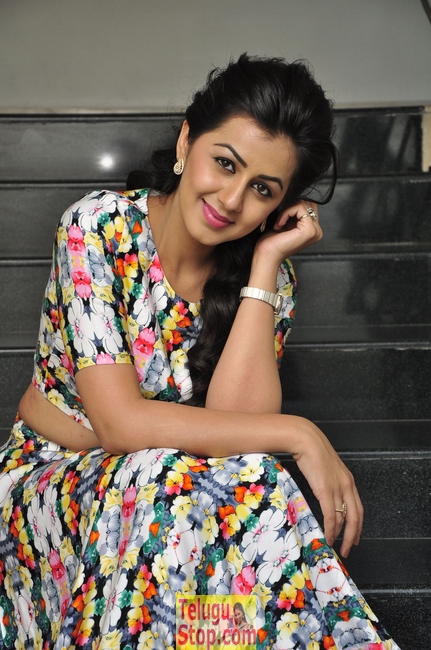 Nikki galrani latest stills- Photos,Spicy Hot Pics,Images,High Resolution WallPapers Download