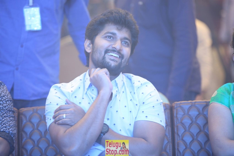 Ninnu kori blockbuster celebrations- Photos,Spicy Hot Pics,Images,High Resolution WallPapers Download