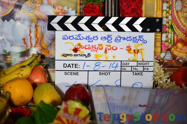 Ntr puri jagannath new movie opening- Photos,Spicy Hot Pics,Images,High Resolution WallPapers Download