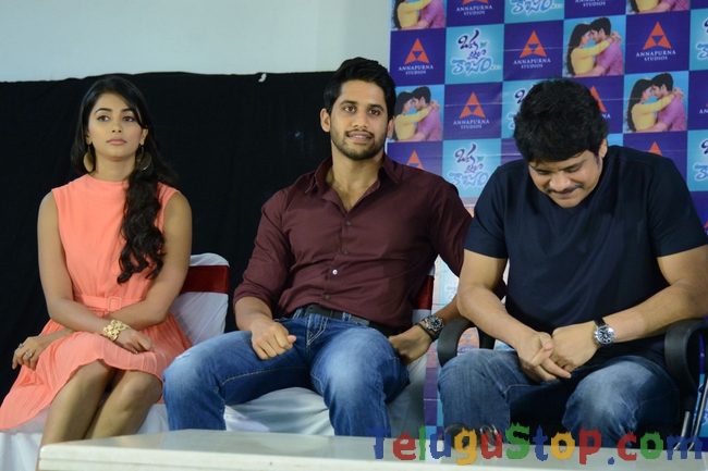 Oka laila kosam press meet- Photos,Spicy Hot Pics,Images,High Resolution WallPapers Download