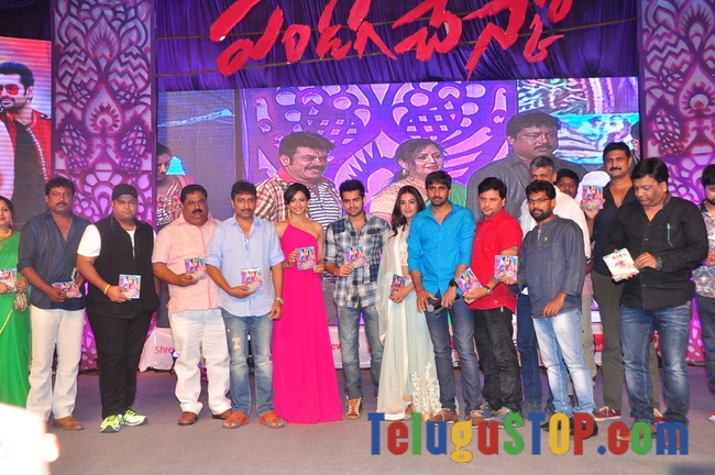 Pandaga chesko audio launch 02- Photos,Spicy Hot Pics,Images,High Resolution WallPapers Download