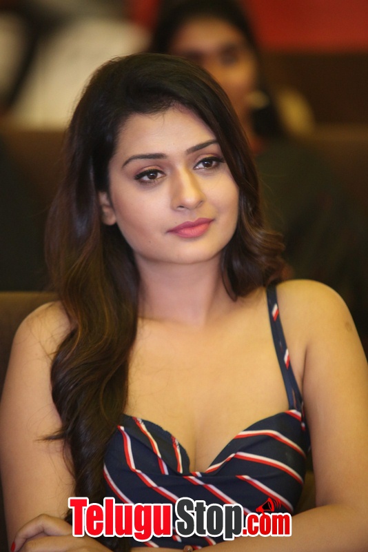 Payal rajput new gallery- Photos,Spicy Hot Pics,Images,High Resolution WallPapers Download
