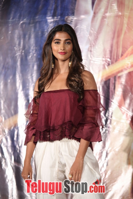 Pooja hegde latest photos 2- Photos,Spicy Hot Pics,Images,High Resolution WallPapers Download