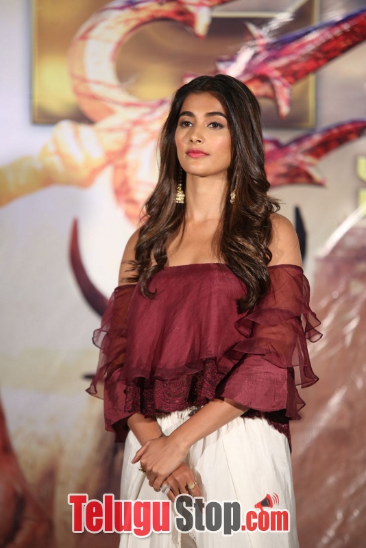 Pooja hegde latest photos 2- Photos,Spicy Hot Pics,Images,High Resolution WallPapers Download