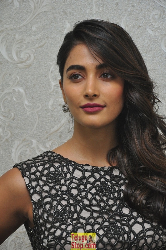 Pooja hegde latest stills 2- Photos,Spicy Hot Pics,Images,High Resolution WallPapers Download