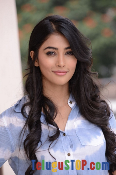 Pooja hegde new gallery- Photos,Spicy Hot Pics,Images,High Resolution WallPapers Download