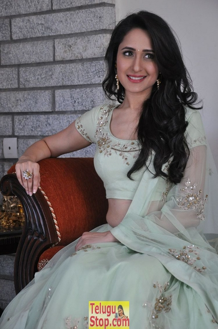 Pragya jaiswal new stills 2- Photos,Spicy Hot Pics,Images,High Resolution WallPapers Download