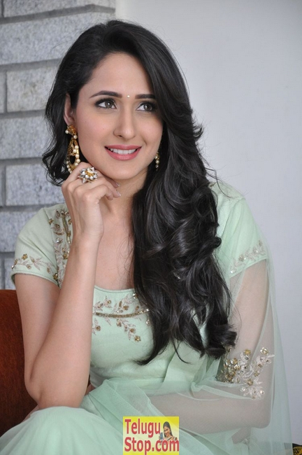 Pragya jaiswal new stills 2- Photos,Spicy Hot Pics,Images,High Resolution WallPapers Download