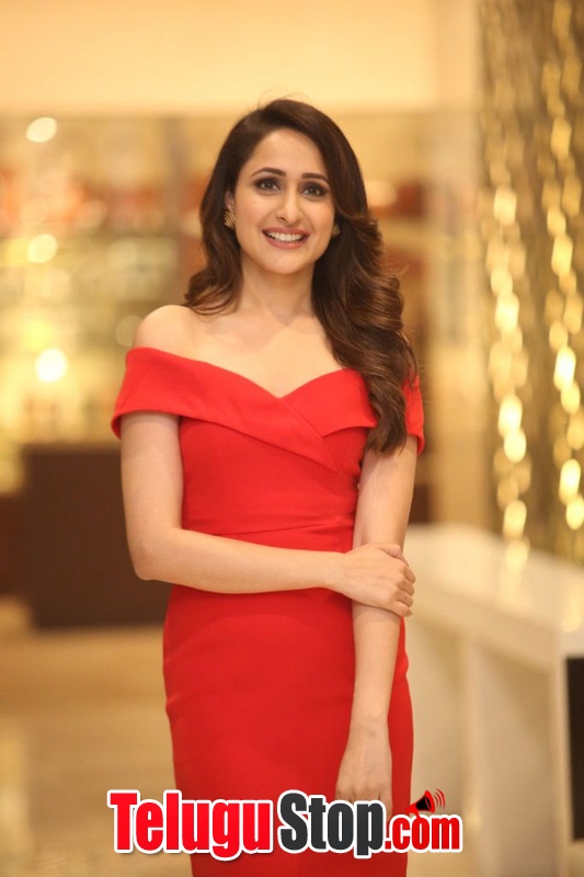 Pragya jaiswal new stills 7- Photos,Spicy Hot Pics,Images,High Resolution WallPapers Download