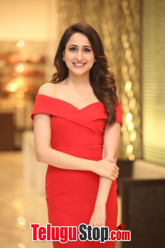 Pragya jaiswal new stills 7- Photos,Spicy Hot Pics,Images,High Resolution WallPapers Download