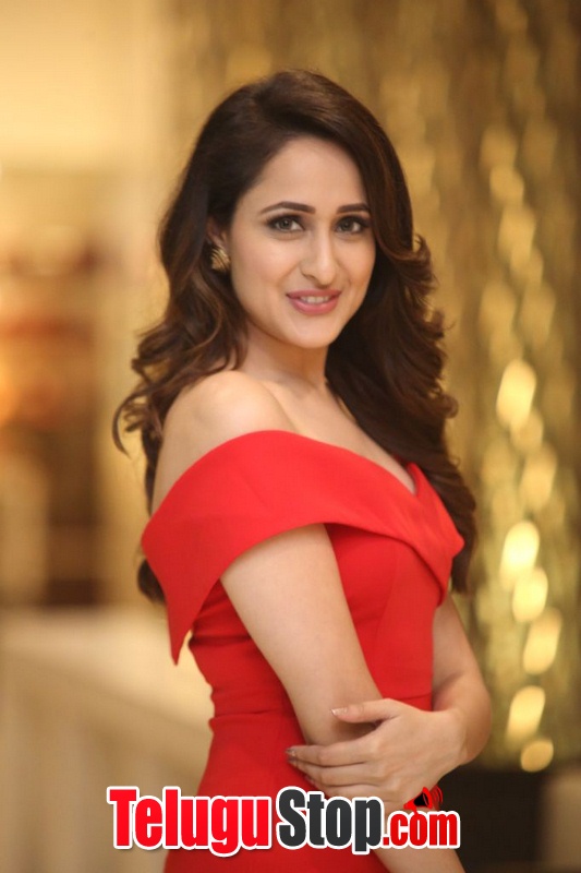 Pragya jaiswal new stills 7- Photos,Spicy Hot Pics,Images,High Resolution WallPapers Download