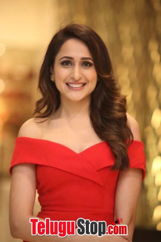 Pragya jaiswal new stills 7- Photos,Spicy Hot Pics,Images,High Resolution WallPapers Download