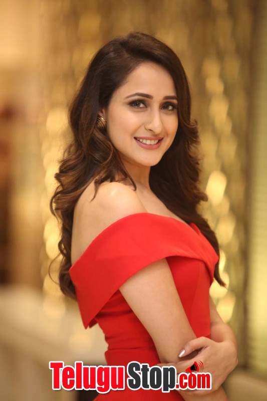 Pragya jaiswal new stills 7- Photos,Spicy Hot Pics,Images,High Resolution WallPapers Download