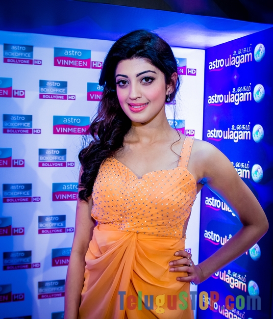 Praneetha at siima awards 2014- Photos,Spicy Hot Pics,Images,High Resolution WallPapers Download